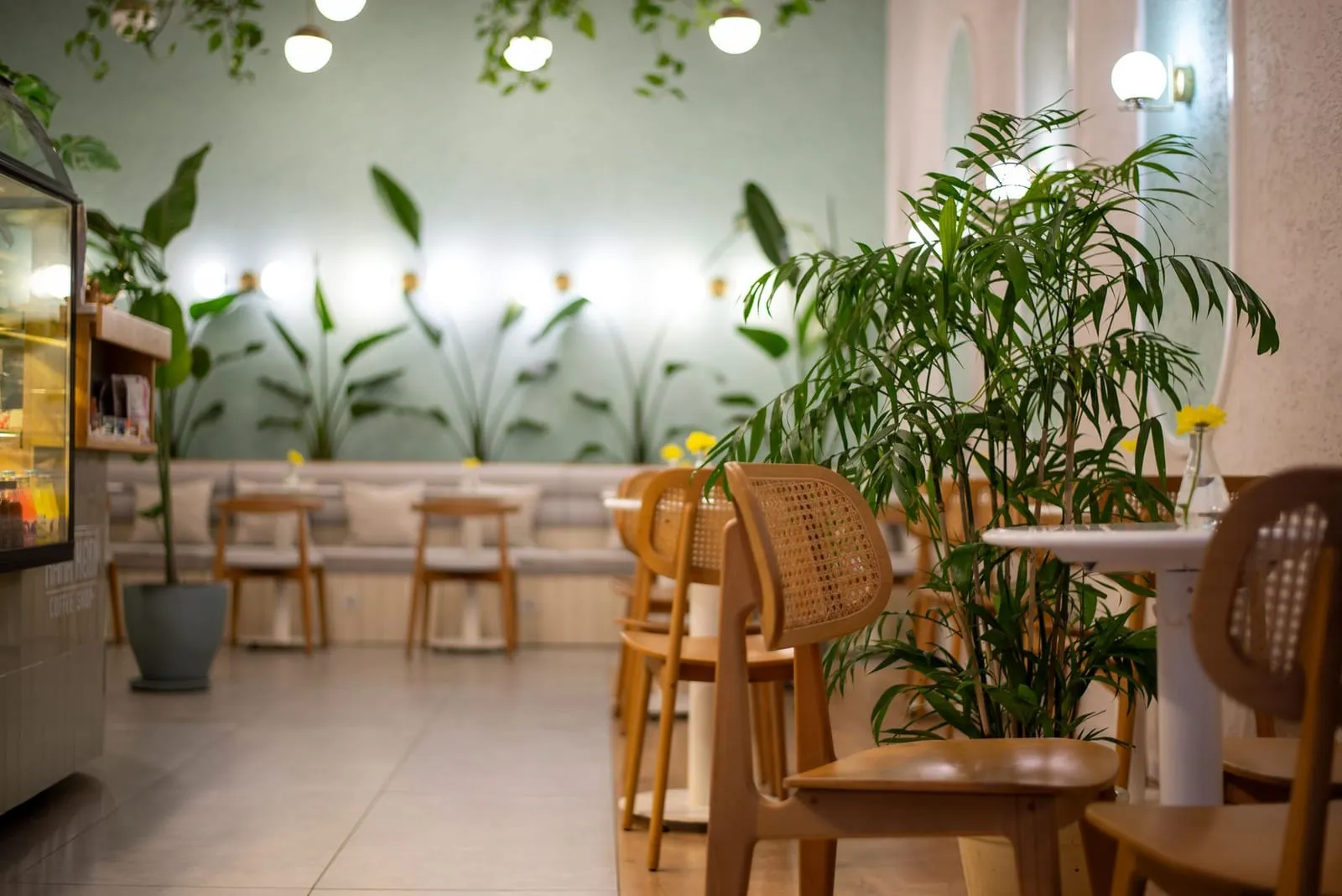 A cozy modern cafe with soft lighting and a wall of plants, inviting for conversation.