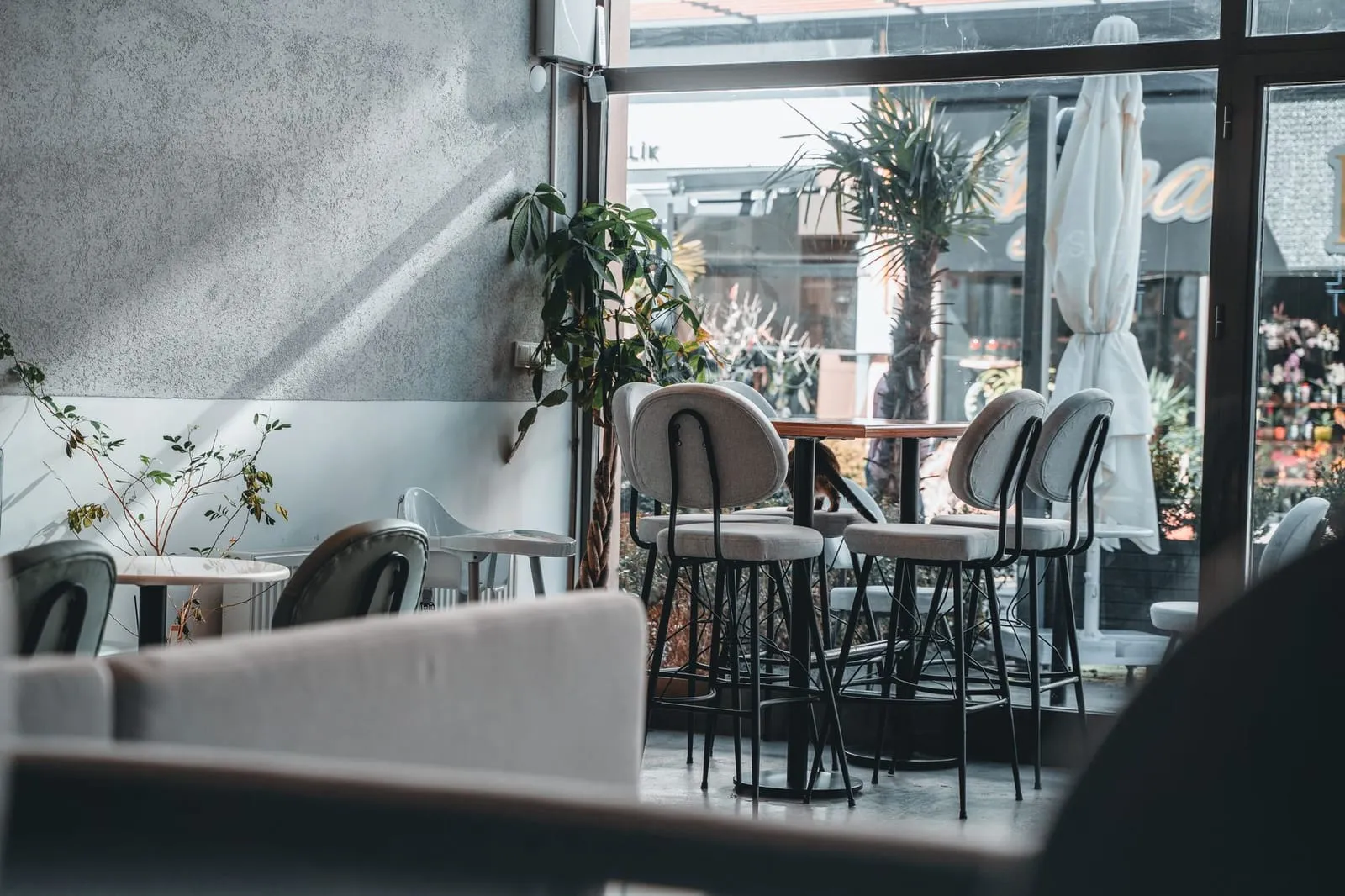 A quiet urban café interior symbolizing online privacy and safety.